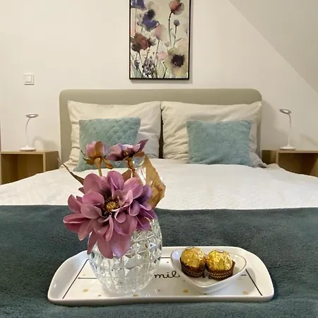 Oazis Apartmanhaz 아파트 *